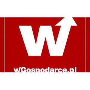 Wgospodarce.Pl